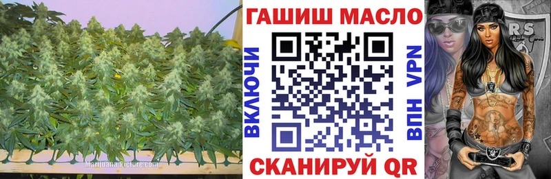 Купить закладки  Петухово  Дистиллят ТГК гашишное масло 